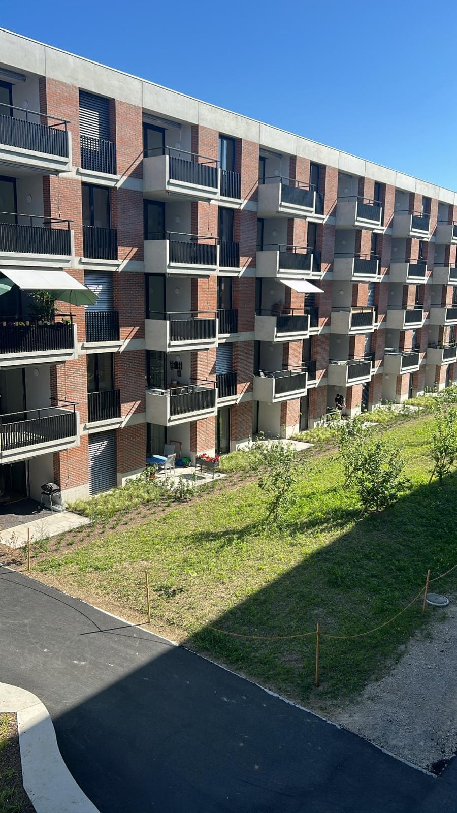 Pro montage 24 gallery image 8